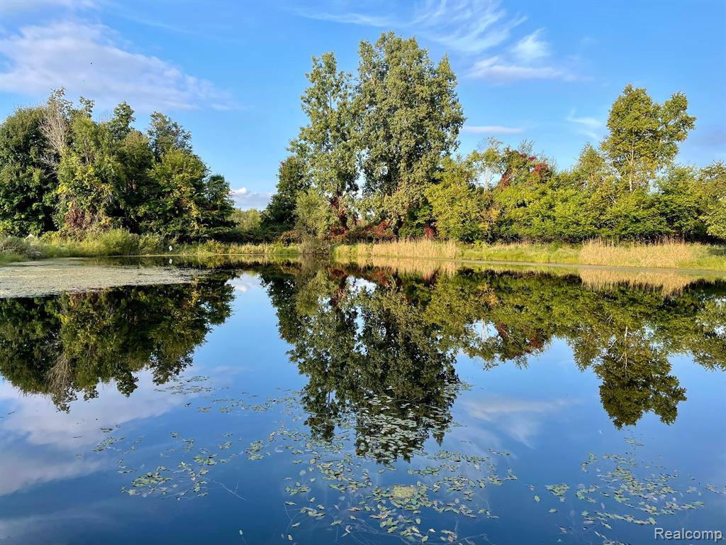 2660 N SUMMERS Road, Imlay City, MI 48444 — Photo 5