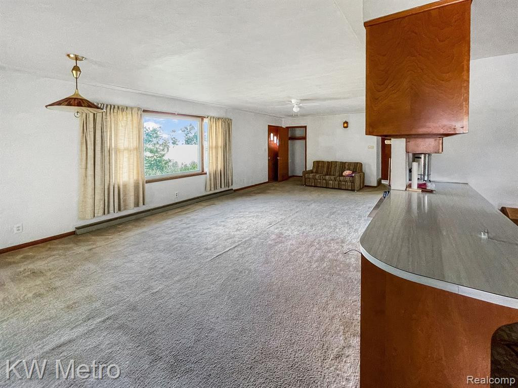 223 E JACKSON Street, Bellevue, MI 49021 — Photo 4
