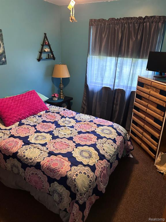8 LILA, Peck, MI 48466 — Photo 5