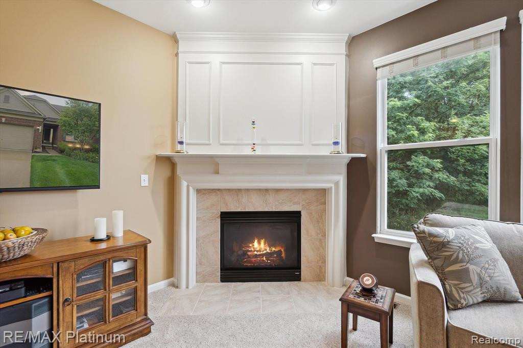 3730 RAINIER Drive, 109, Howell, MI 48843 — Photo 6
