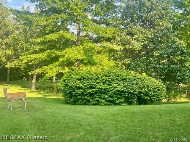 28322 CARLTON WAY Drive, Novi, MI 48377 — Photo 28