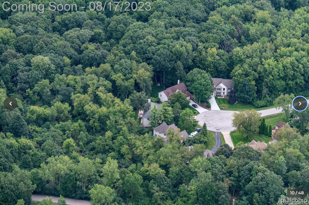 5401 LOHR LAKE Drive, Ann Arbor, MI 48108 — Photo 43