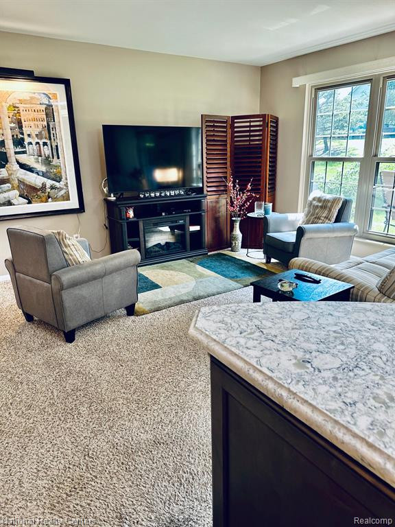 229 BROOKWOOD Drive, 16, South Lyon, MI 48178 — Photo 6