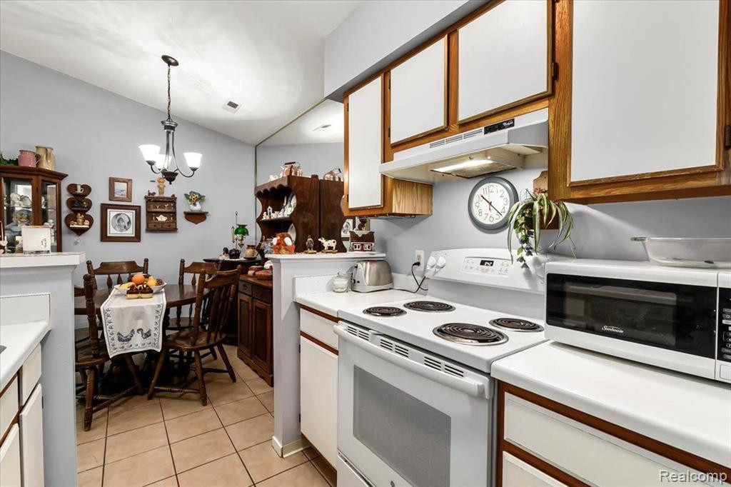 306 Spring Brooke Drive, Brighton, MI 48116 — Photo 12