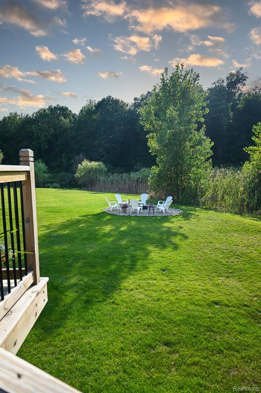 13527 CHESTER, Belleville, MI 48111 — Photo 44
