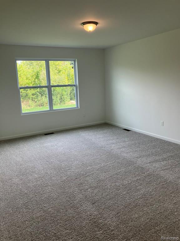 10169 SWAN LAKE Circle, 34, Ypsilanti, MI 48197 — Photo 10