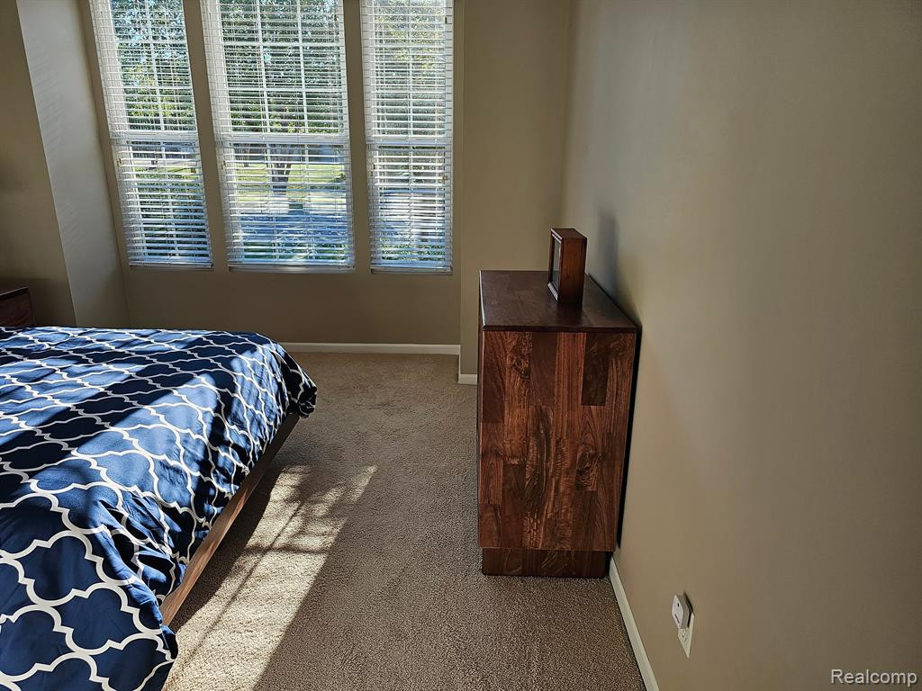 24510 SAND LAKE Lane, Flat Rock, MI 48134 — Photo 13