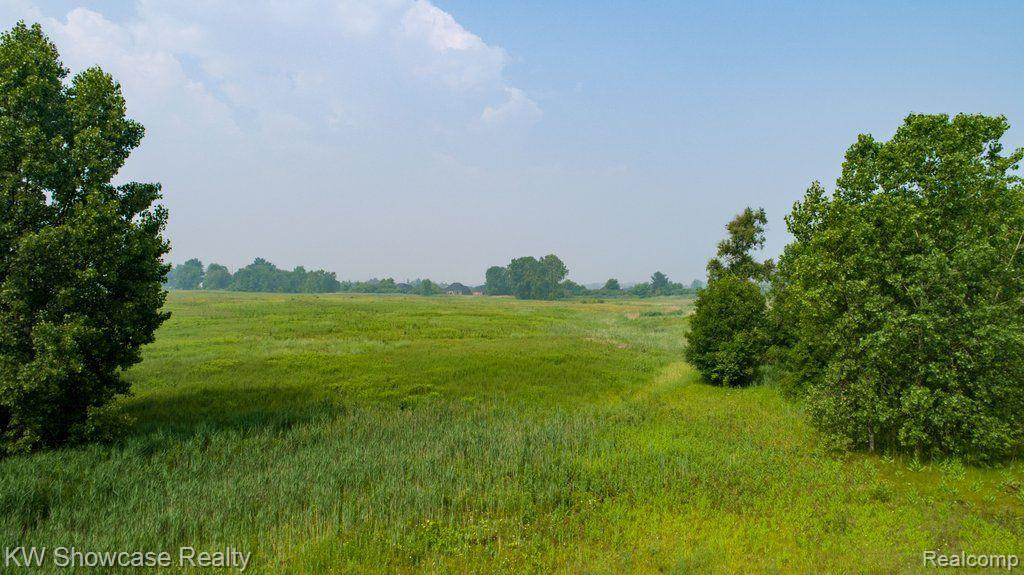24601 ROSEMONT Drive, South Lyon, MI 48178 — Photo 4