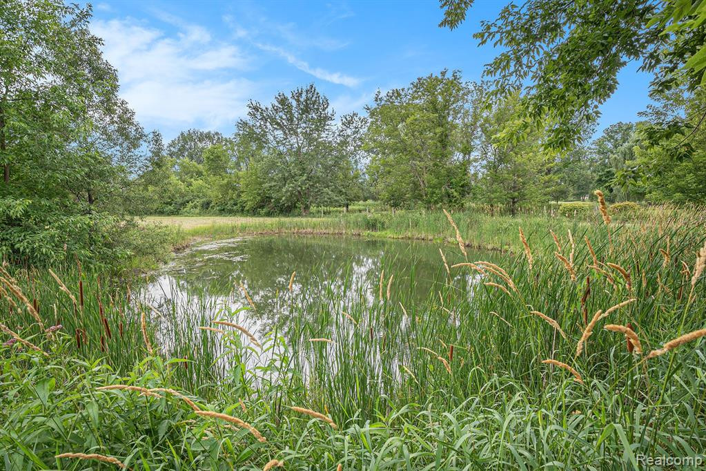 310 MILL Street, Ortonville, MI 48462 — Photo 36