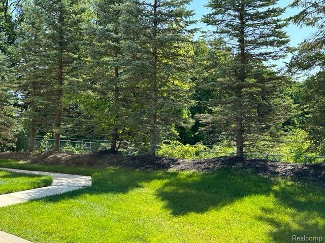 2004 RIVERSEDGE Drive, 80, Saline, MI 48176 — Photo 4