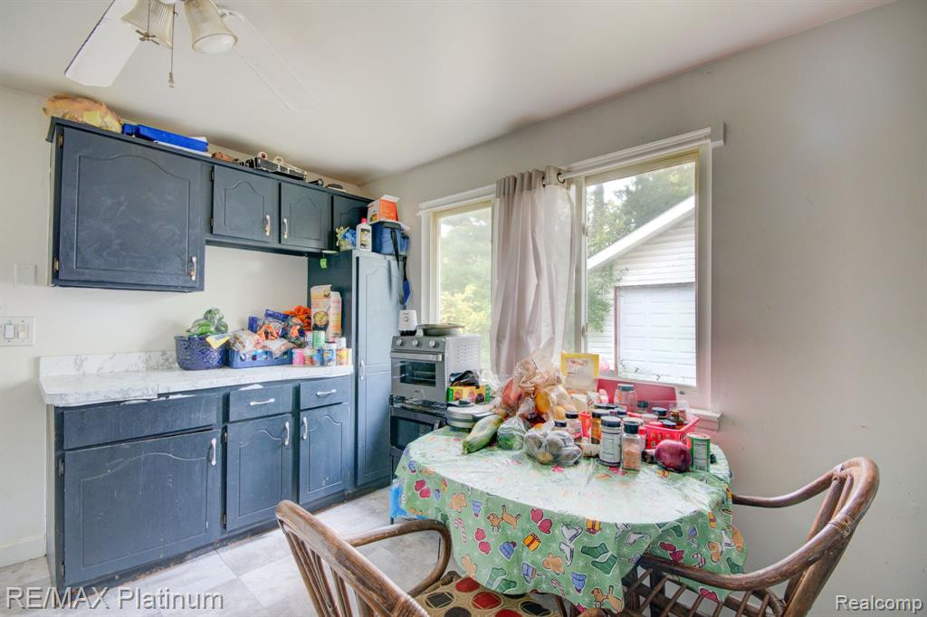 9 BLAIN Court, Ann Arbor, MI 48108 — Photo 4