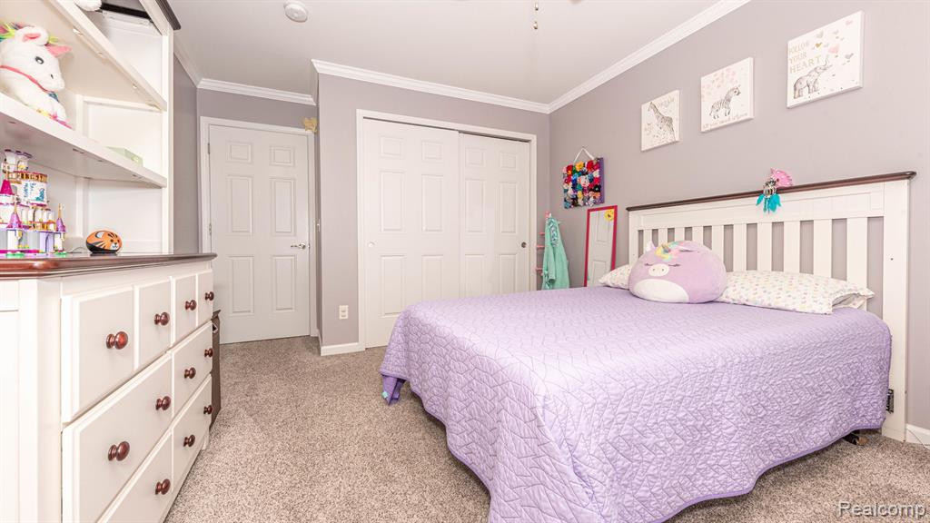 57625 BLOSSOM VALLEY Trail, New Hudson, MI 48165 — Photo 37