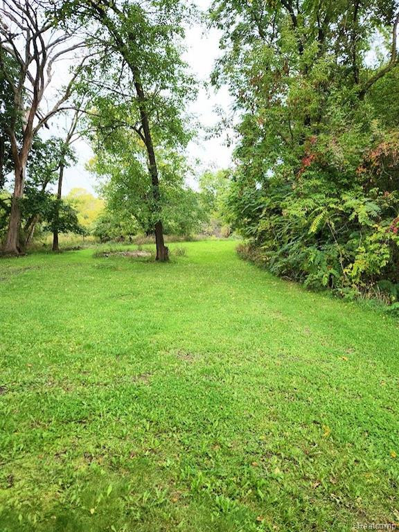 221 E HIGH Street, Metamora, MI 48455 — Photo 23