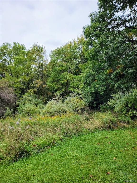 221 E HIGH Street, Metamora, MI 48455 — Photo 24