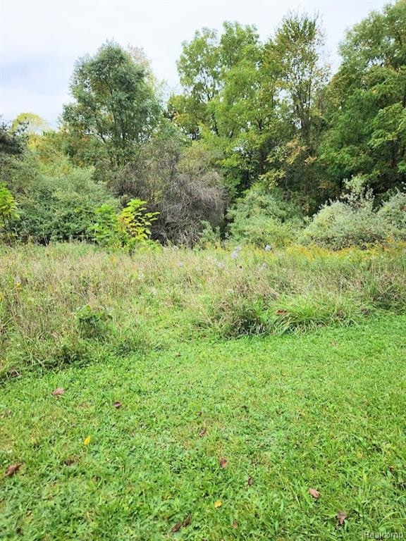 221 E HIGH Street, Metamora, MI 48455 — Photo 25