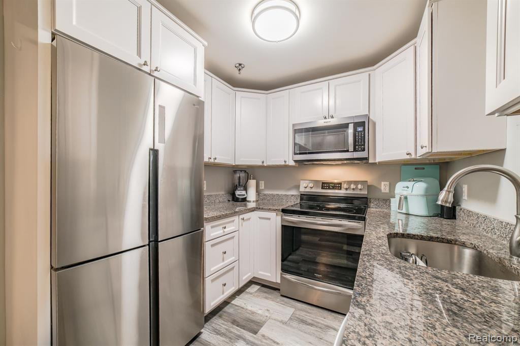 100 SABER Way, Lake Orion, MI 48362 — Photo 11