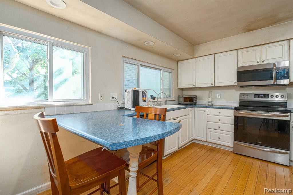 1346 KING GEORGE Boulevard, Ann Arbor, MI 48108 — Photo 5