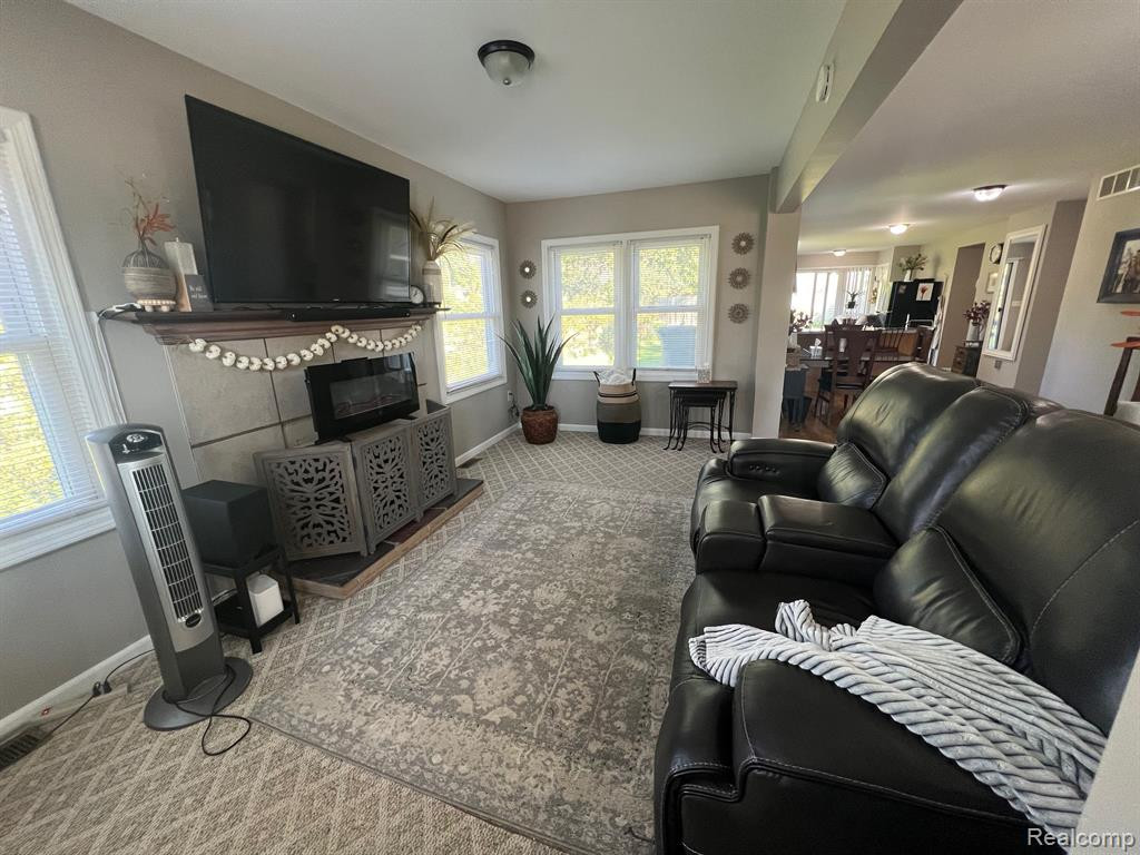 249 S Wagner Road, Ann Arbor, MI 48103 — Photo 4