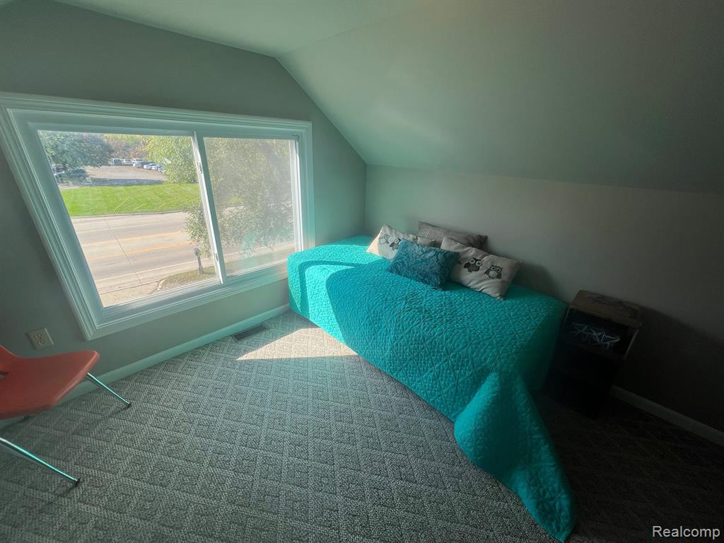 249 S Wagner Road, Ann Arbor, MI 48103 — Photo 30