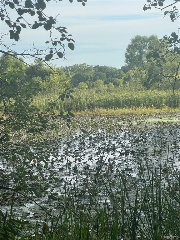249 S Wagner Road, Ann Arbor, MI 48103 — Photo 42