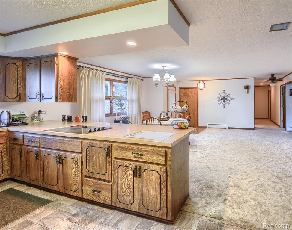 6868 ARMSTRONG Road, Imlay City, MI 48444 — Photo 9