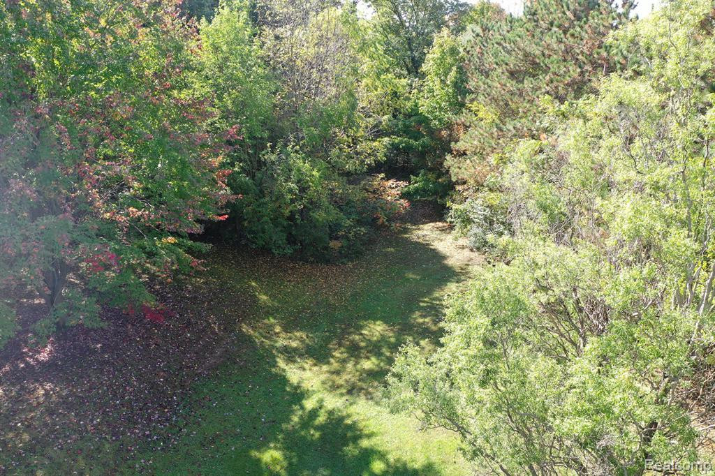 6868 ARMSTRONG Road, Imlay City, MI 48444 — Photo 34