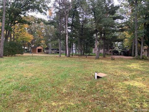 6567 BEAR LAKE Drive, Johannesburg, MI 49751 — front exterior