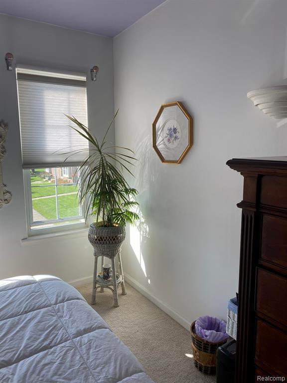24475 BASHIAN Drive, Novi, MI — Photo 19