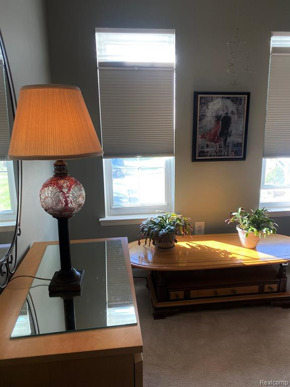 24475 BASHIAN Drive, Novi, MI — Photo 24
