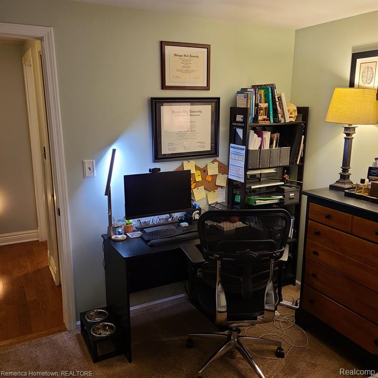 306 E ANN ARBOR Trail, Plymouth, MI 48170 — Photo 19