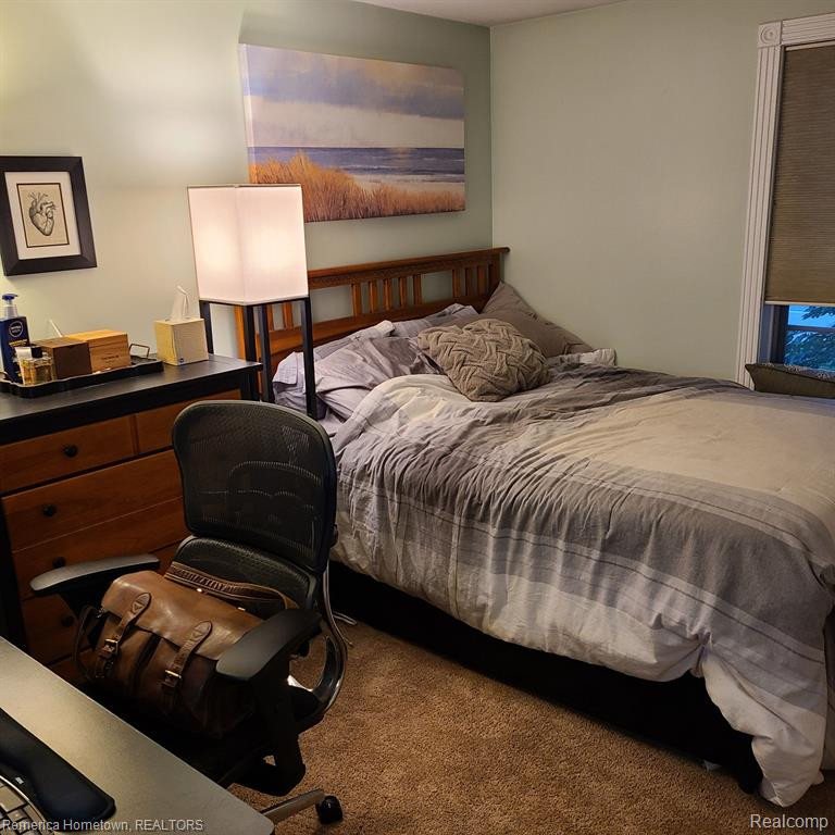 306 E ANN ARBOR Trail, Plymouth, MI 48170 — Photo 20