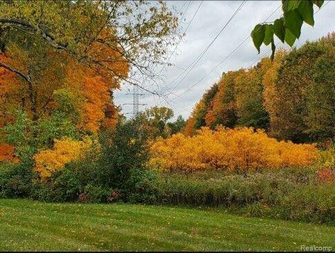 7990 MEADOWVIEW Court, Ypsilanti, MI 48197 — Photo 36