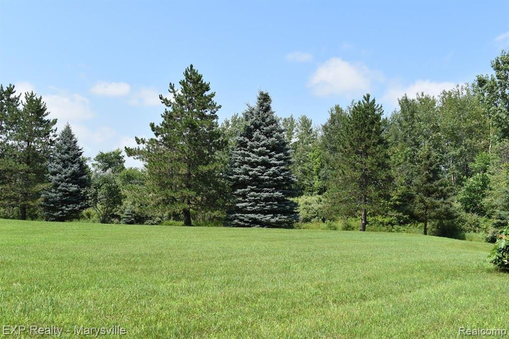 4444 CHURCHILL Road, Brown, MI 48416 — Photo 11