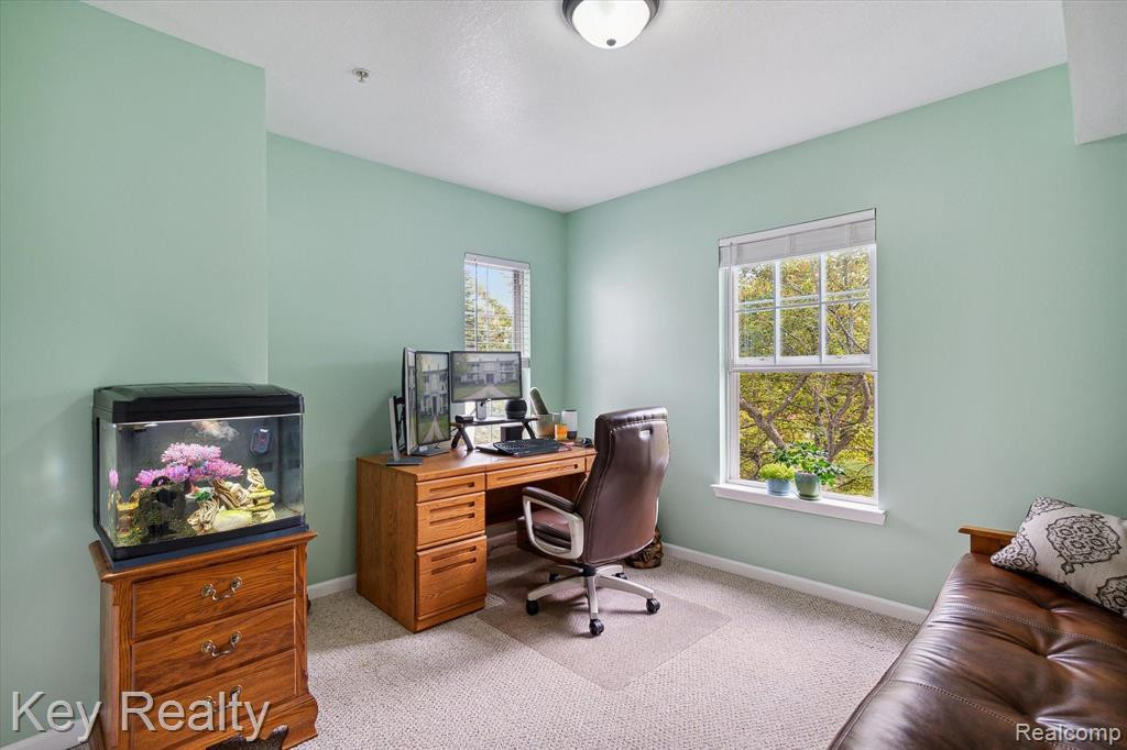 1259 JOYCE Lane, Ann Arbor, MI 48103 — Photo 19