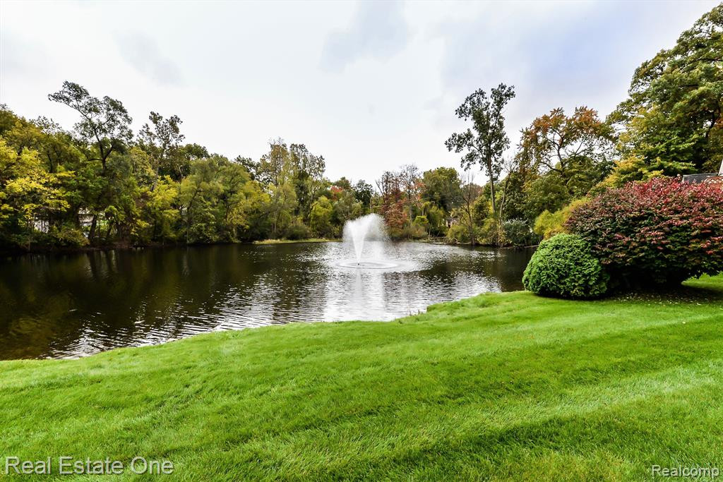 115 PONDVIEW, Brighton, MI 48116 — Photo 4