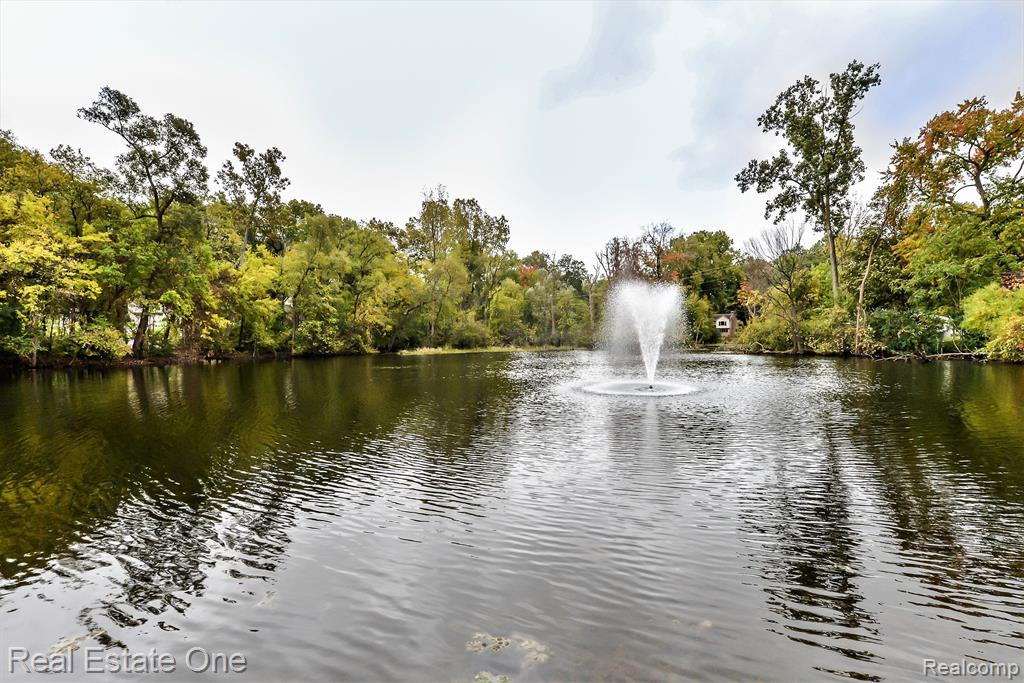 115 PONDVIEW, Brighton, MI 48116 — Photo 32
