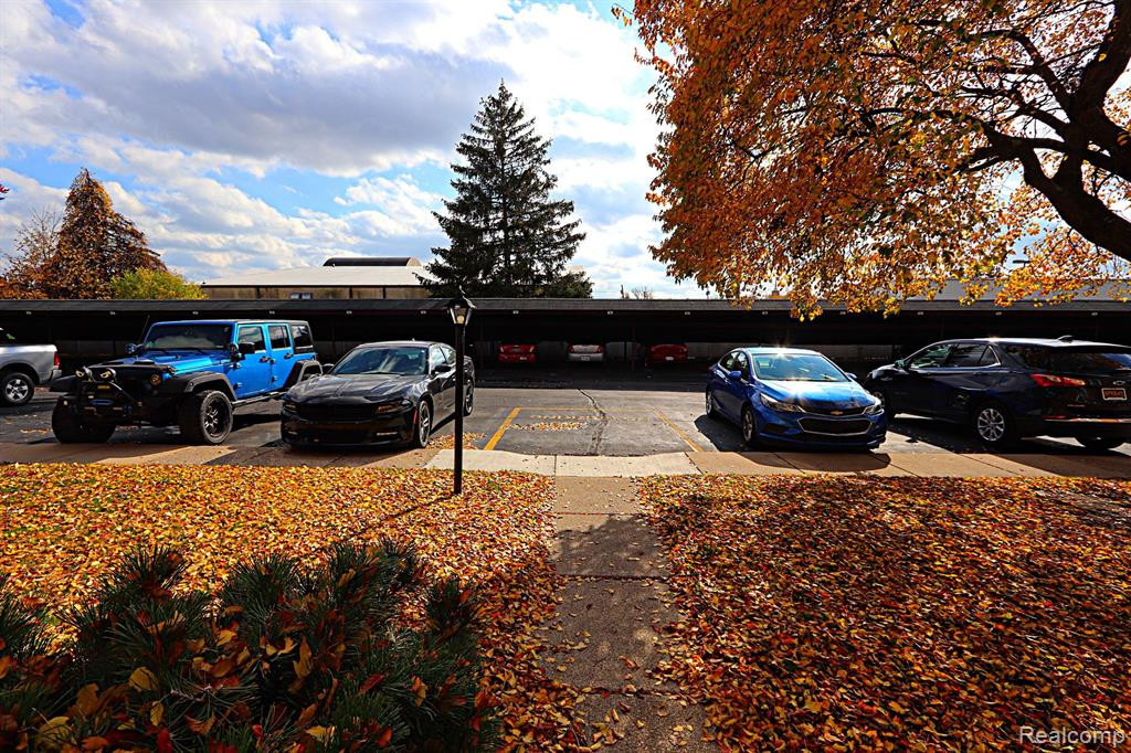 29473 BOBRICH Street, 74, Livonia, MI 48152 — Photo 36
