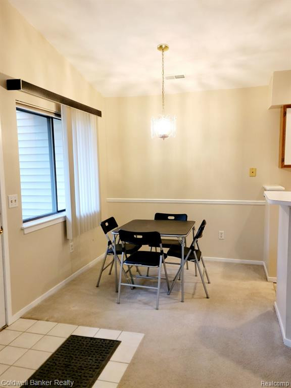390 SPRING BROOKE Drive, Brighton, MI 48116 — Photo 10
