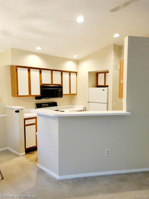 390 SPRING BROOKE Drive, Brighton, MI 48116 — Photo 12