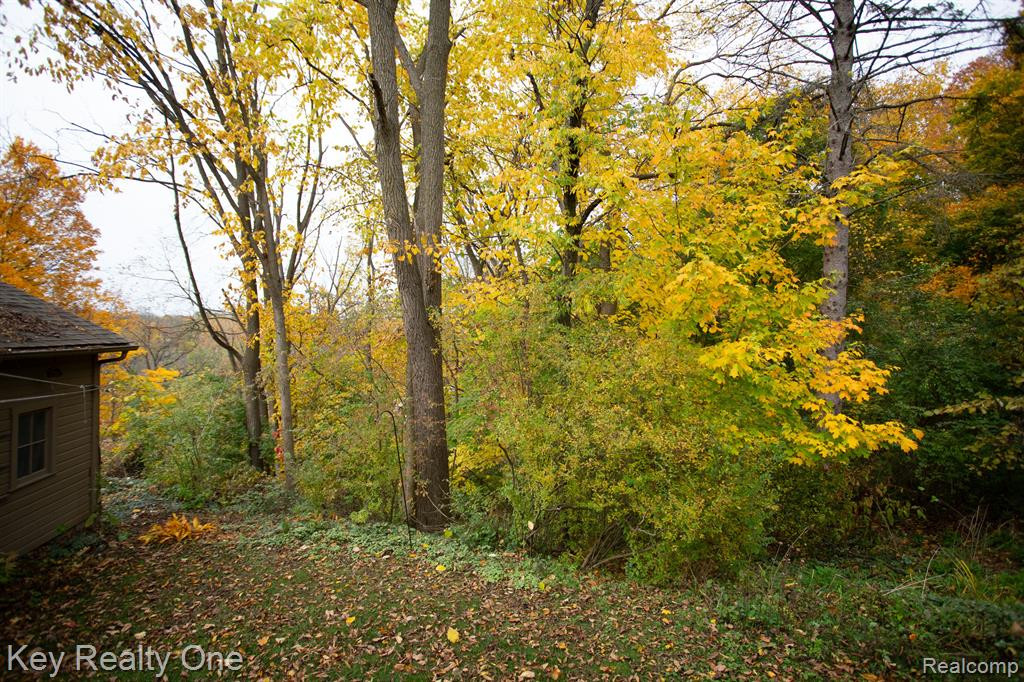 1553 Broadway Street, Ann Arbor, MI 48105 — Photo 25