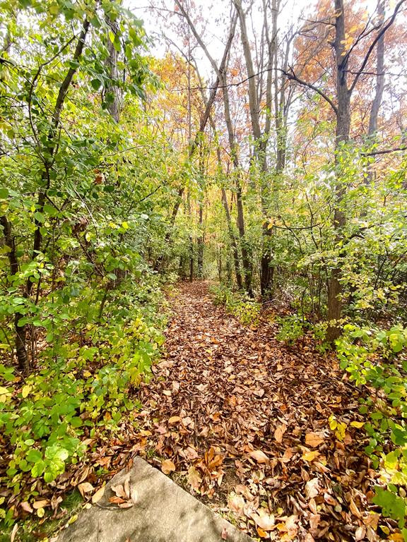 3543 BENT TRAIL Drive, Ann Arbor, MI 48108 — Photo 34