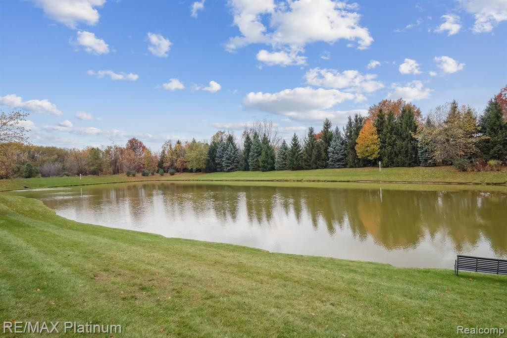3411 Kneeland Circle, Howell, MI 48843 — Photo 23