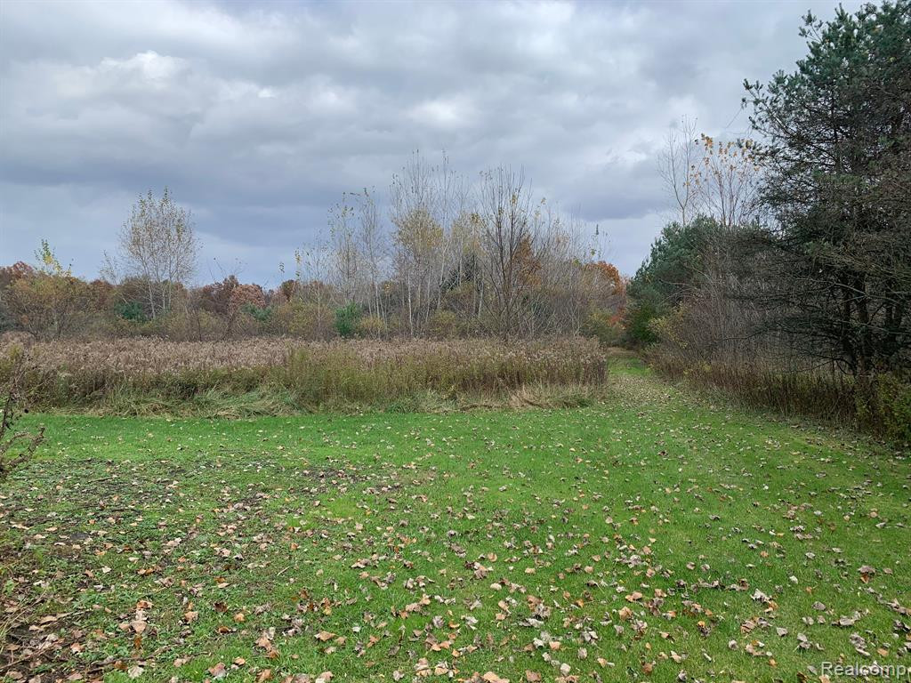 10365 EAST Road, Burt, MI 48417 — Photo 36