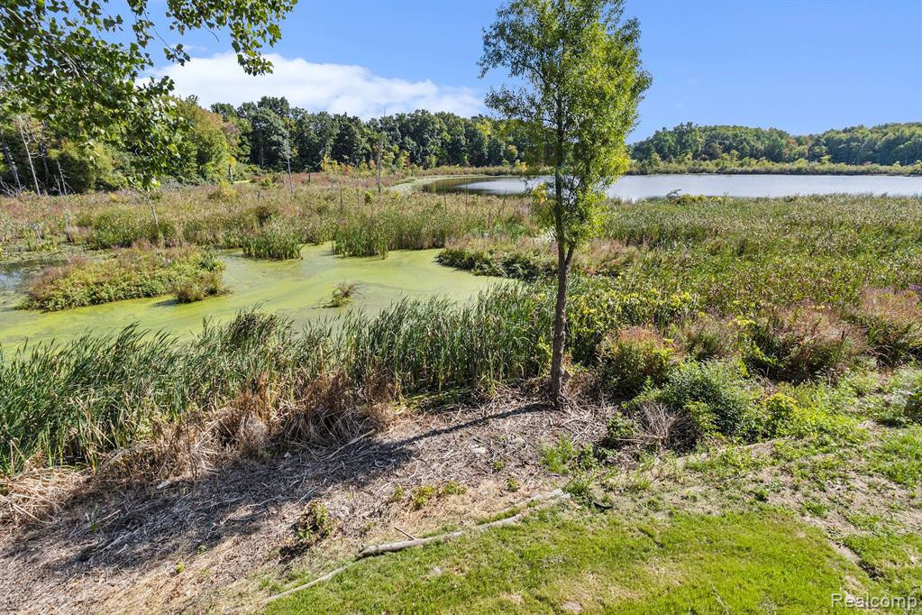 421 Lilly View, Howell, MI 48843 — Photo 40