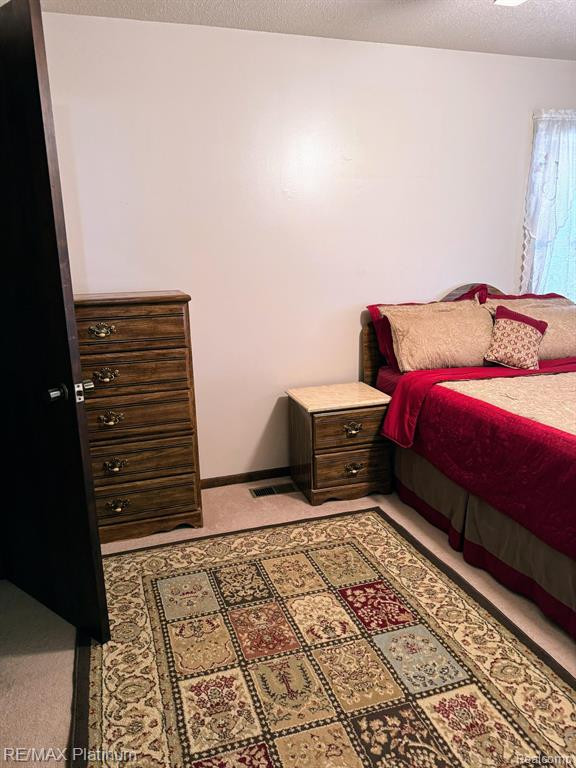 2906 ROUNDTREE Boulevard, Ypsilanti, MI 48197 — Photo 15