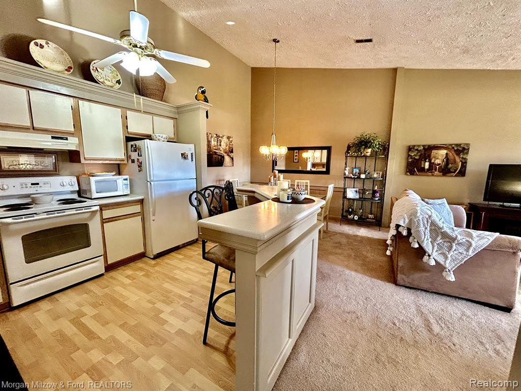 61196 GREENWOOD Drive, South Lyon, MI 48178 — Photo 6