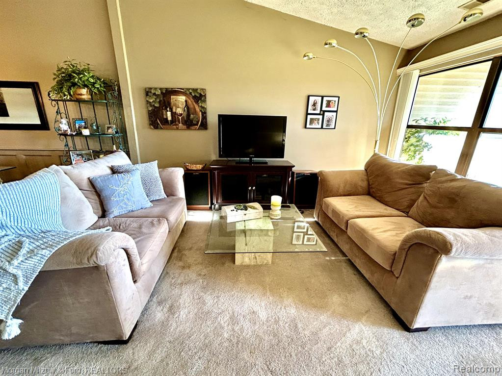 61196 GREENWOOD Drive, South Lyon, MI 48178 — Photo 8