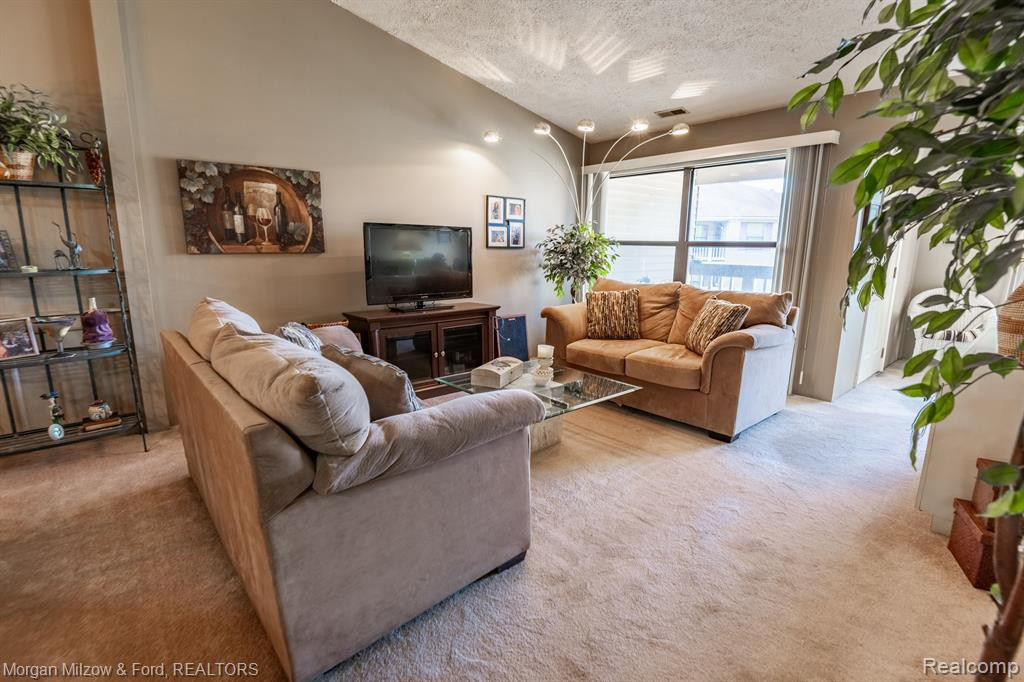 61196 GREENWOOD Drive, South Lyon, MI 48178 — Photo 9