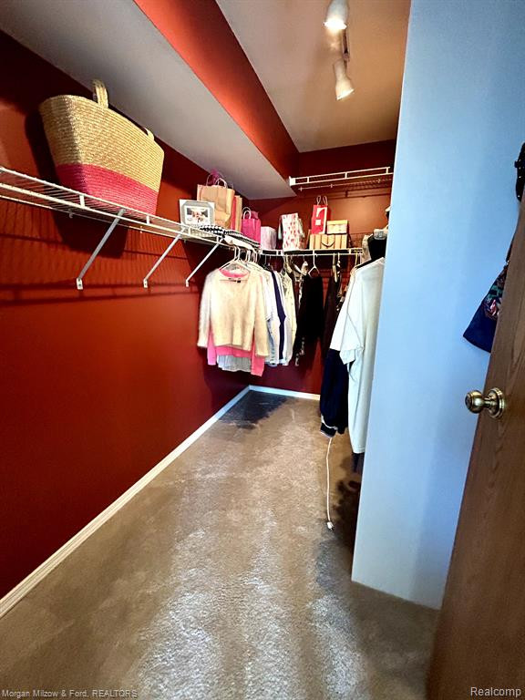 61196 GREENWOOD Drive, South Lyon, MI 48178 — Photo 14