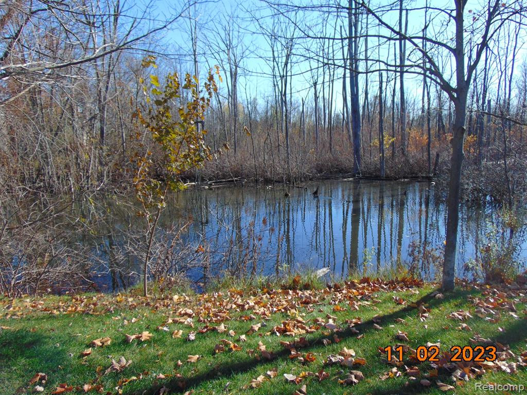 41531 GLADE Road, Canton, MI 48187 — Photo 43